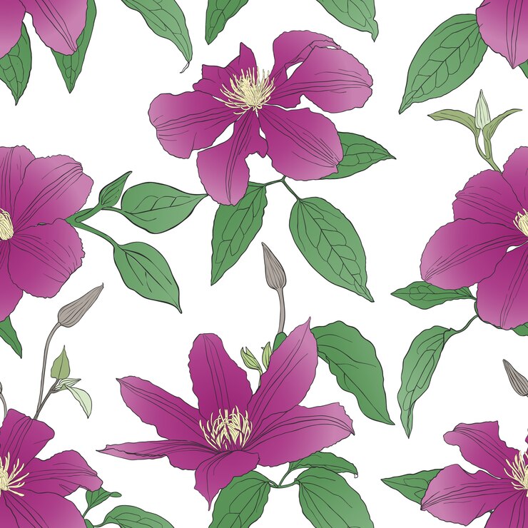 Vector patrones sin fisuras con flores de clemátide.