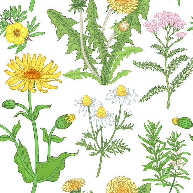 Patrones sin fisuras con plantas medicinales