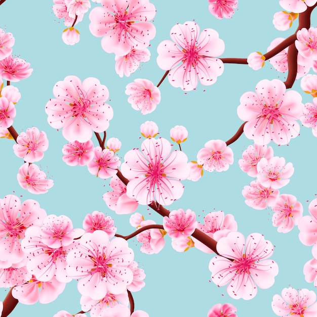 Patrones sin fisuras de Sakura rosa.
