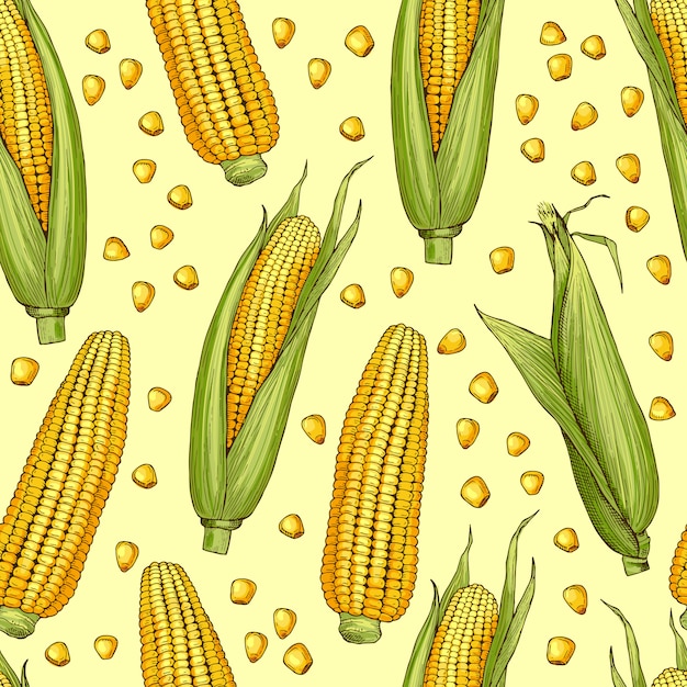 Patrones sin fisuras de vector con ilustración de maíz. Patrón vegetal con mazorca de maíz