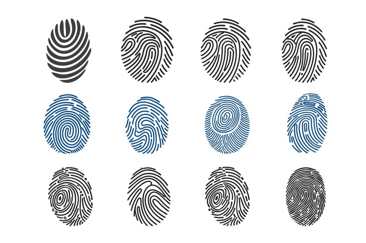Patrones de huellas dactilares para la identificación biométrica de seguridad o análisis forense