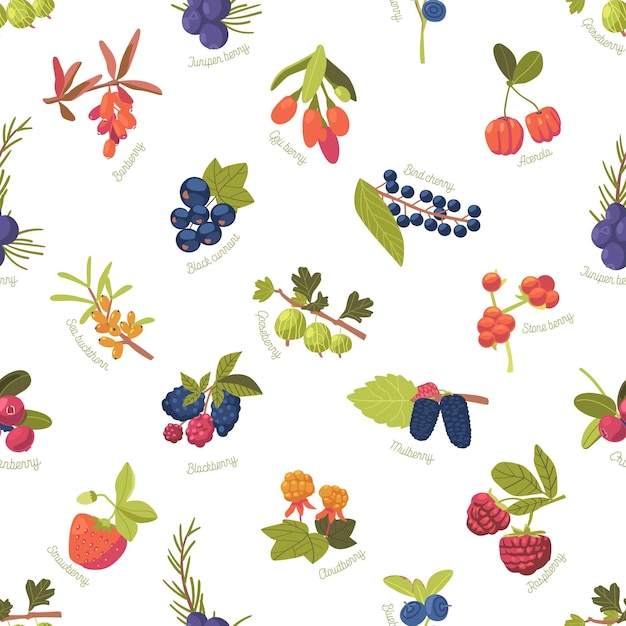 Pattren sin costuras con bayas, fresa, frambuesa, espino amarillo o cereza de pájaro, enebro, grosella negra, arándano y acerola, arándano, mora, mora y Godji, mosaico vectorial de dibujos animados