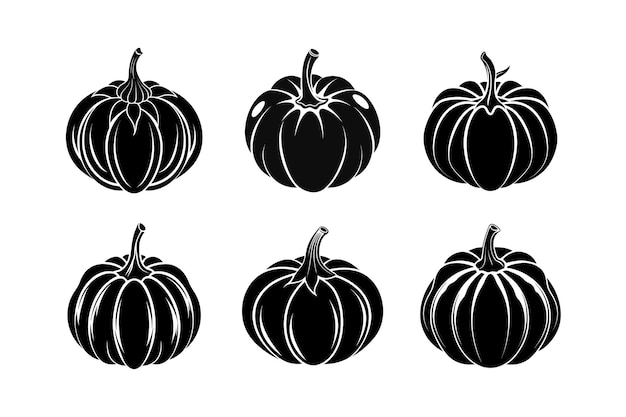 Pattypan Squash Cucurbita pepo diseño etiquetado ilustración vectorial de silueta