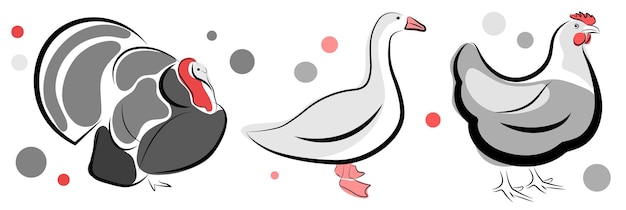 Pavo ganso y pollo sobre fondo blanco Doodle