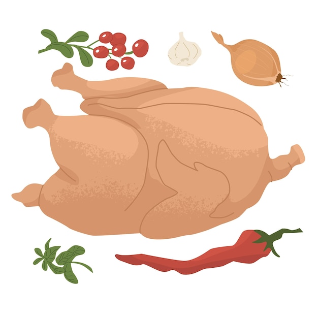 Pavo o pollo rodeado de hierbas y verduras Pimienta roja lingonberry romero menta Concepto para granjas y mercados de alimentos Ilustración vectorial aislada sobre fondo blanco