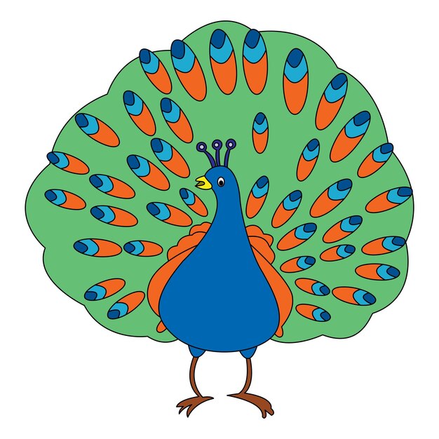 Pavo real aislado sobre un fondo blanco.