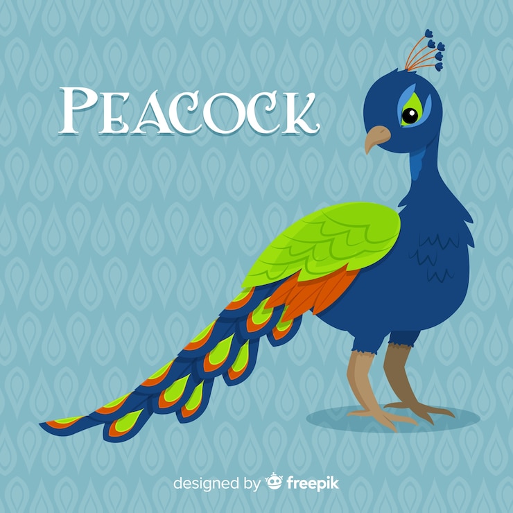 Vector pavo real en estilo dibujo a mano