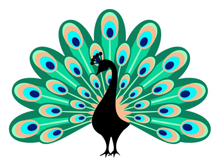 Vector pavo real