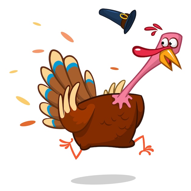 Pavo