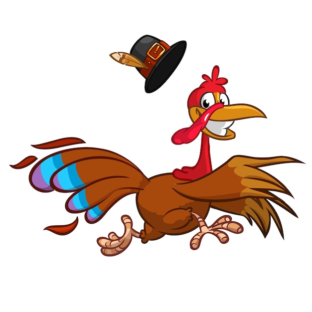Pavo