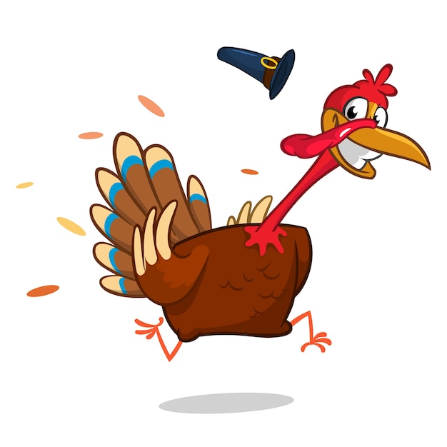 Pavo