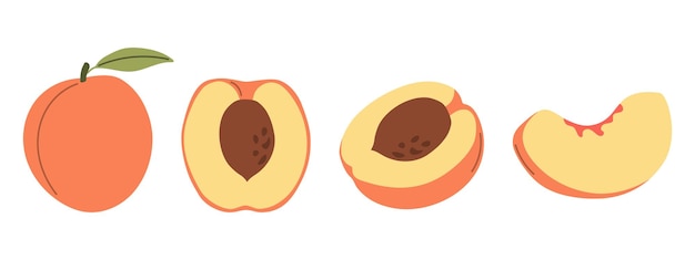 Peach set peach slice cut peach frutas tropicales alimentos saludables y orgánicos Ilustración vectorial