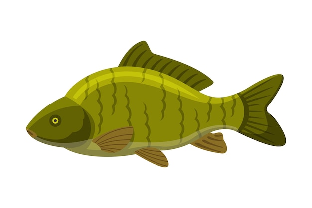 Vector peces de agua dulce de boca grande especies de peces acuáticos frescos ilustración vectorial de dibujos animados