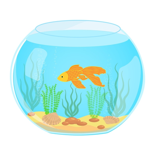 acuario de ilustración con peces dorados sobre fondo blanco. silueta  vectorial de peces dorados con agua, algas, arena y piedras al estilo de  las caricaturas. 8977448 Vector en Vecteezy