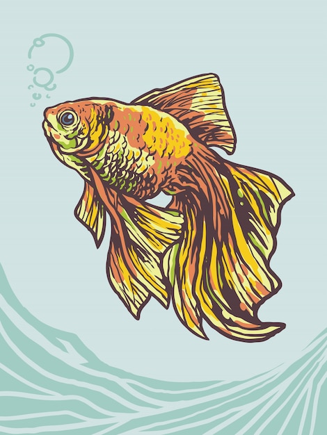 Peces dorados