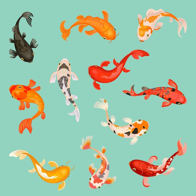 Peces Koi Jardín de peces botánico japonés Carpas de lago Peces dorados decorativos Animales submarinos de estilo asiático Elementos acuáticos orientales Colección vectorial actual