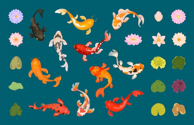 Peces Koi y loto Colección de elementos botánicos diseño de lagos de jardín de estilo japonés Personajes submarinos y naturaleza clipart vectorial actual
