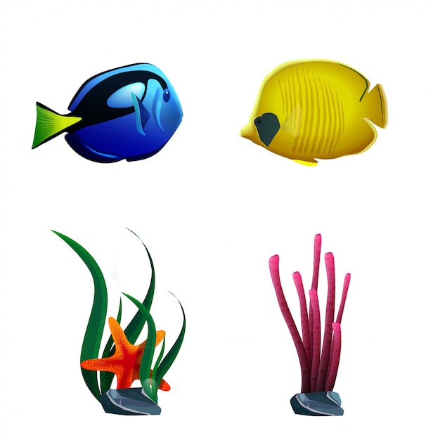 Vector peces de mar y plantas aisladas sobre fondo blanco