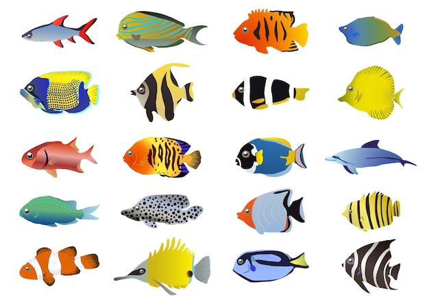 Vector peces de mar tropicales de colores