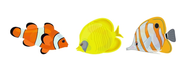Vector peces marinos vector ilustración de dibujos animados plana arrecife oceánico tropical o acuario doméstico peces exóticos conjunto aislado sobre fondo blanco
