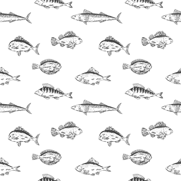 peces vectorial patrón sin costuras Pike percha ruff pescado caballa buscadores principales cucaracha crucian carpa pescado clipart multicolor comida de mar pesca comida saludable niños animales ilustración para niños