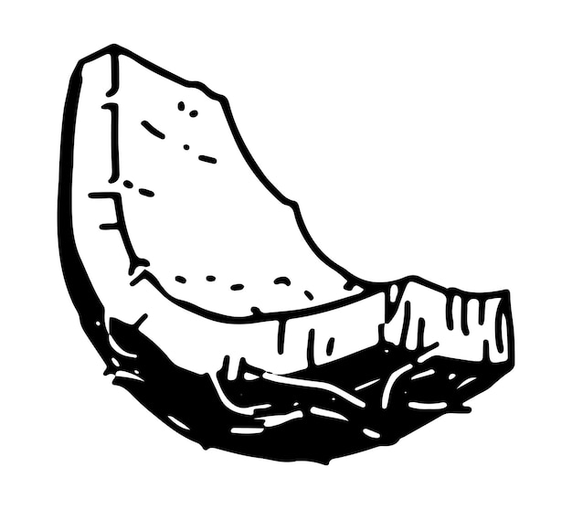 Pedazo de coco boceto clipart Doodle de frutas tropicales aislado en blanco Ilustración de vector dibujado a mano en estilo de grabado