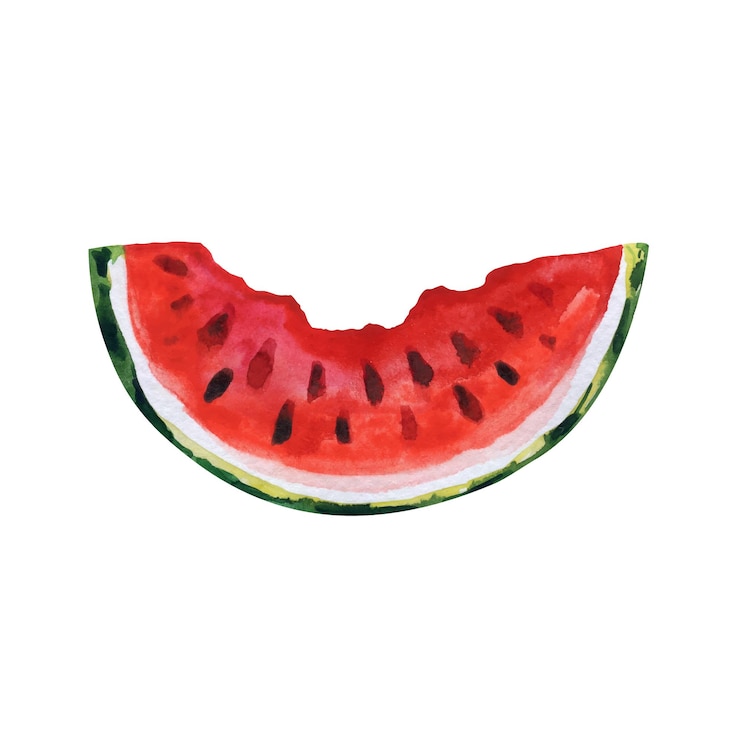 Vector pedazo de jugosa sandía acuarela dibujado a mano vector clipart aislado sobre fondo blanco