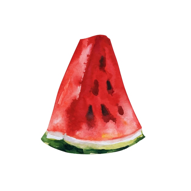 Pedazo de jugosa sandía dulce acuarela dibujado a mano vector clipart aislado sobre fondo blanco