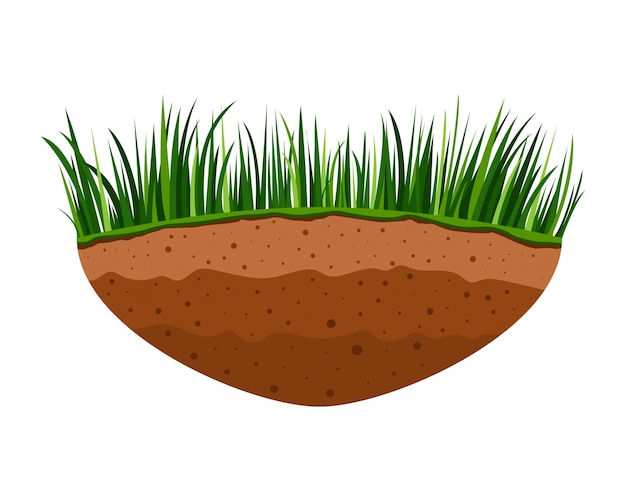 Pedazo de tierra marrón con césped Ilustración vectorial aislada en blanco Isla voladora con prado verde