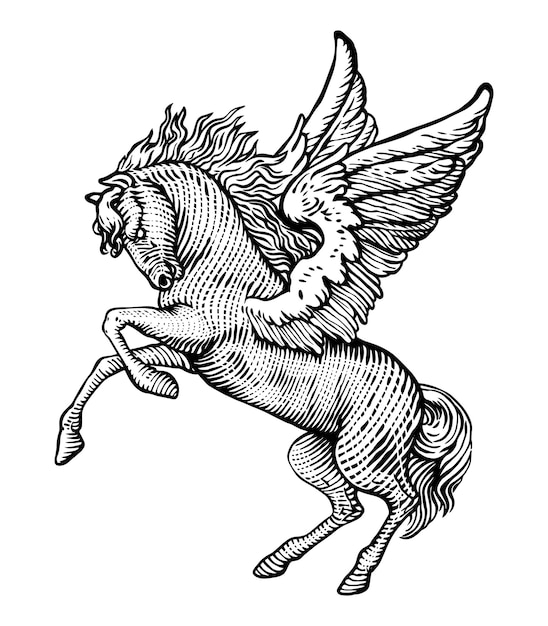 Pegaso grabado dibujado a mano