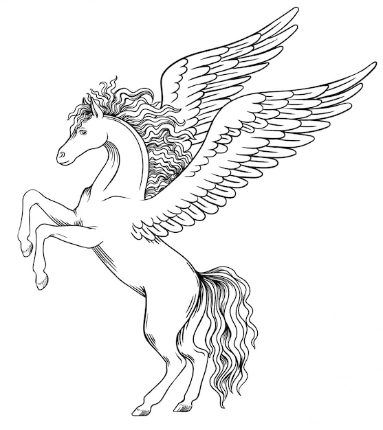 Pegasus despegando