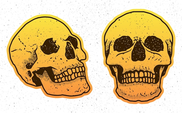 pegatina de dos ilustraciones de calaveras