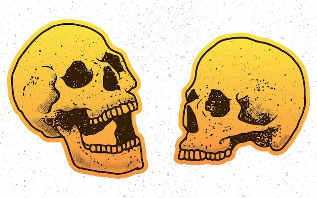 pegatina de dos ilustraciones de calaveras