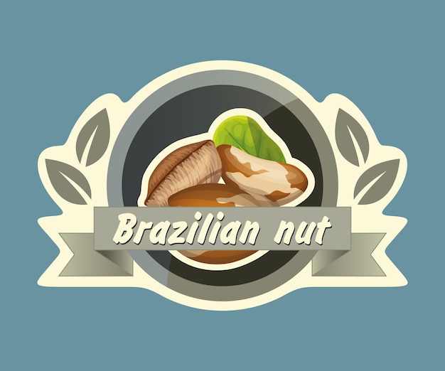 Pegatina vectorial de la nuez brasileña PEREDELAT