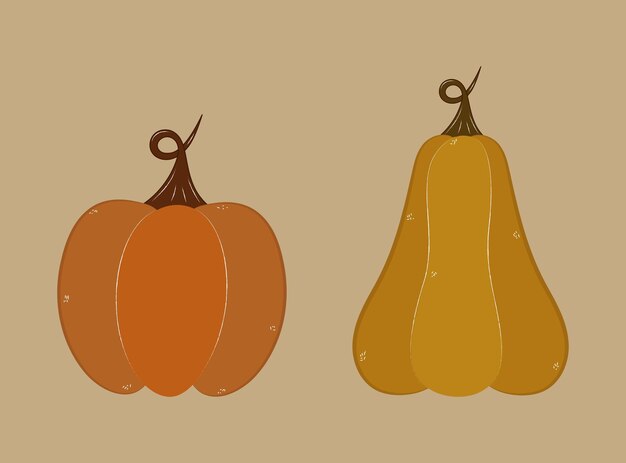 Pegatinas de calabaza de fideos aislados. Vector calabazas acogedoras dibujadas a mano. Acción de gracias de otoño, halloween