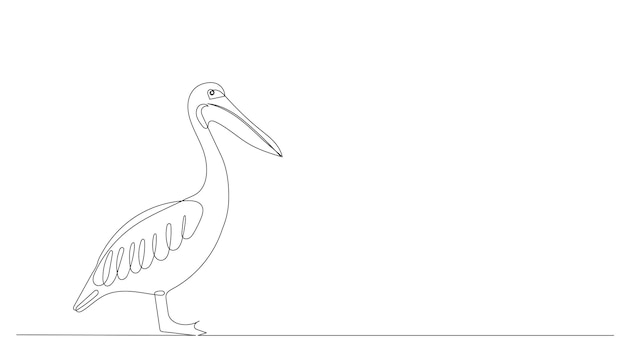 pelícano de pie dibujo de línea continua dibujo vectorial