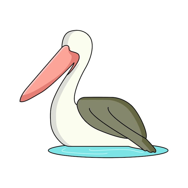 Vector pelícano