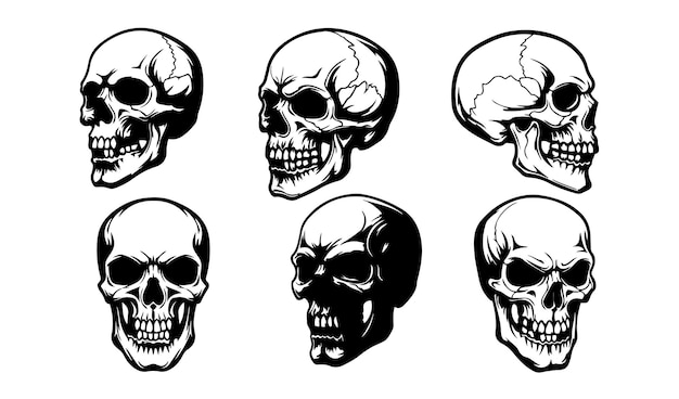 Peligro del cráneo dibujo monocromático aterrador anatomía vintage cráneo humano horror conjunto vectorial de Halloween