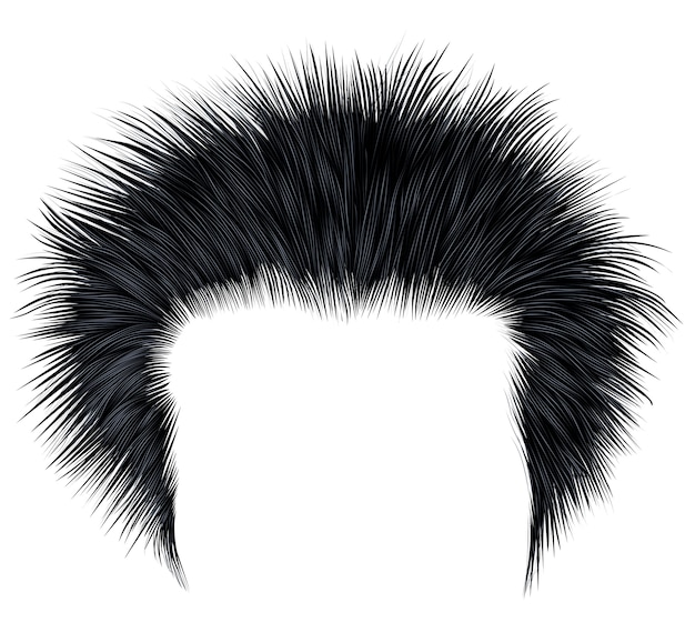 Pelos de hombre peludo de moda color negro.estilo de belleza.estilo de cabello alto.