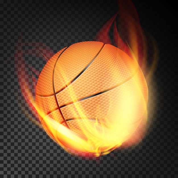 Vector pelota de baloncesto