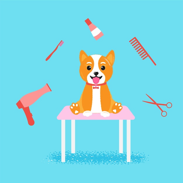 Vector peluquería canina concepto de belleza lavado de mascotas