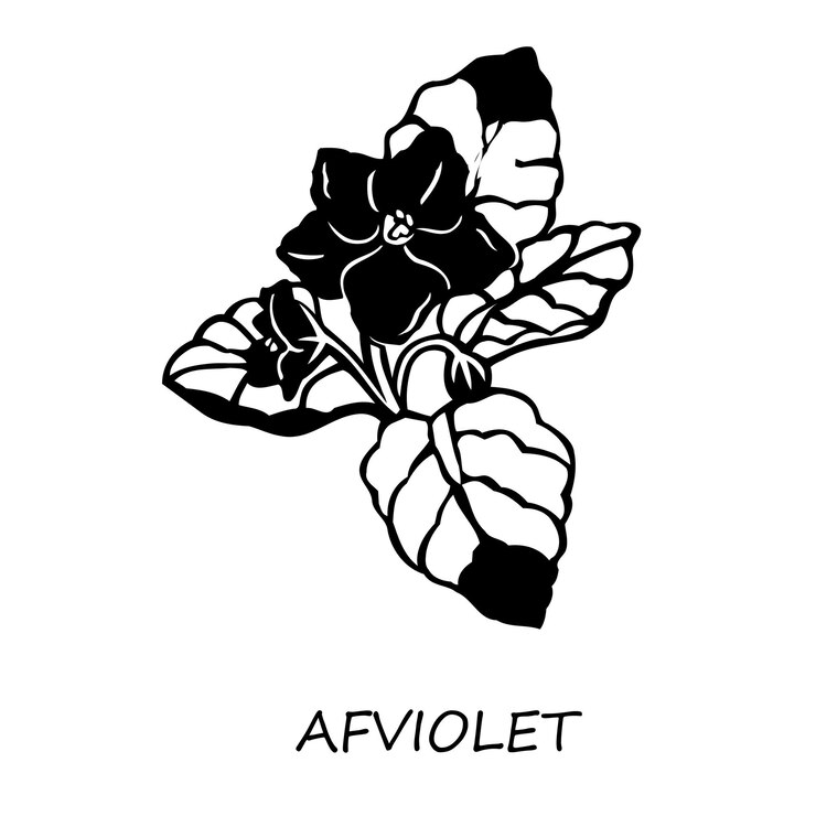 Pensamientos vectoriales pintados a mano y campos de flores de viola ilustración de stock