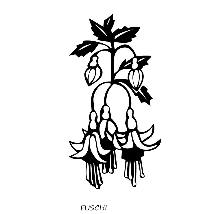 Pensamientos vectoriales pintados a mano y campos de flores de viola ilustración de stock