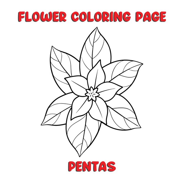 PENTAS flores libro de colorear para niños