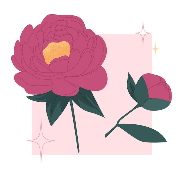 Vector peonías dibujadas a mano fondo hermosas flores para la decoración de tarjetas de impresión flor decorativa de primavera y verano