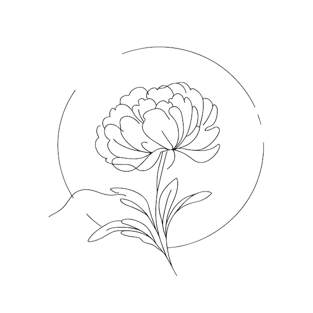 peonías en una línea sobre un fondo blanco flores botánicas flora flores estéticas en una línea
