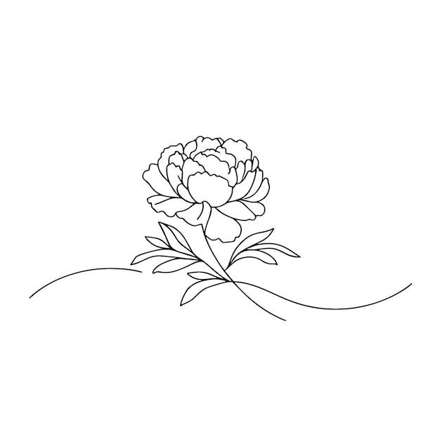 peonías en una línea sobre un fondo blanco flores botánicas flora flores estéticas en una línea