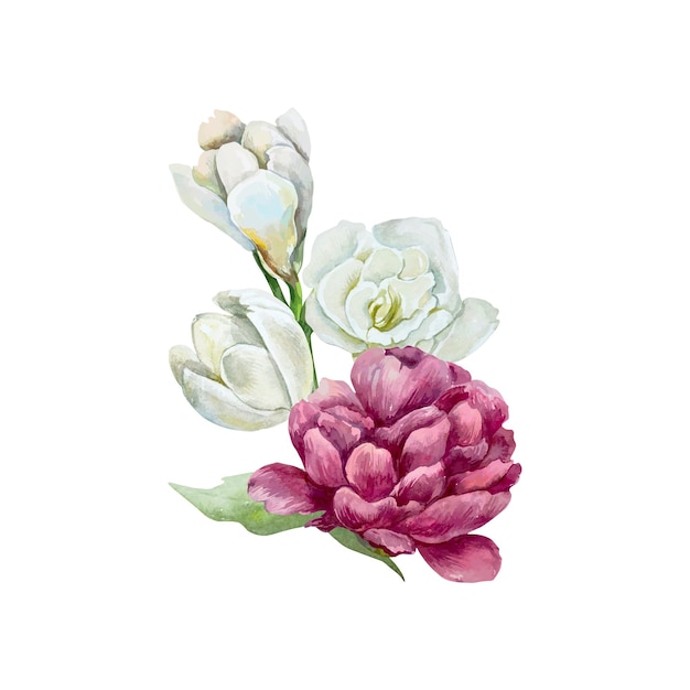 Peony freesia ramita acuarela ramo de flores blancas de borgoña tarjetas invitaciones de boda carteles