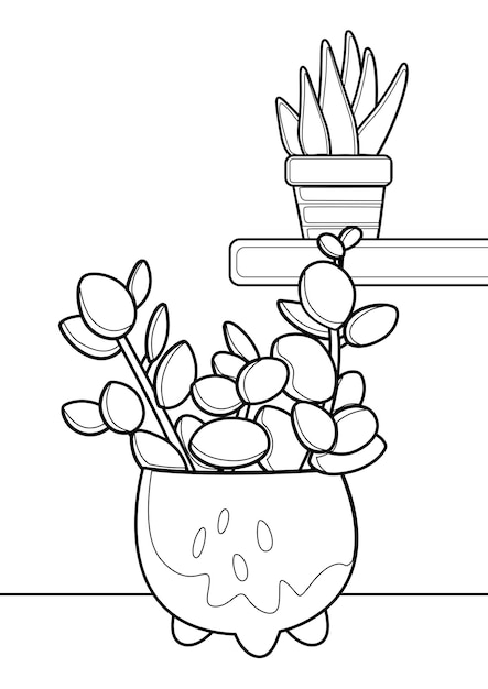 Vector peperomia chinese money home plants indoor coloring pages a4 para niños y adultos