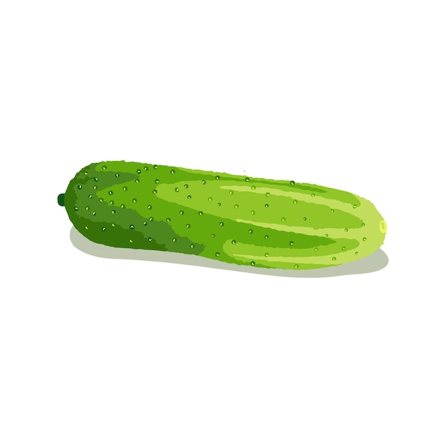 Pepino aislado sobre un fondo blanco